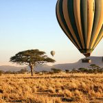 Three hot air balloons drift over the plains of The Serengeti National Park at dawn.