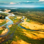 The banks of the Lower Zambezi, Africa